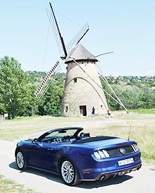 - Ford Mustang New.     