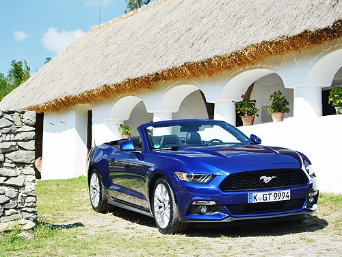 - Ford Mustang New.     