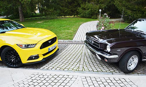 - Ford Mustang New.     