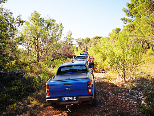 - Ford Ranger Raptor:     - Ford