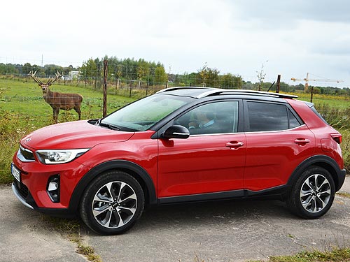 - KIA Stonic. ,      Sportage - KIA