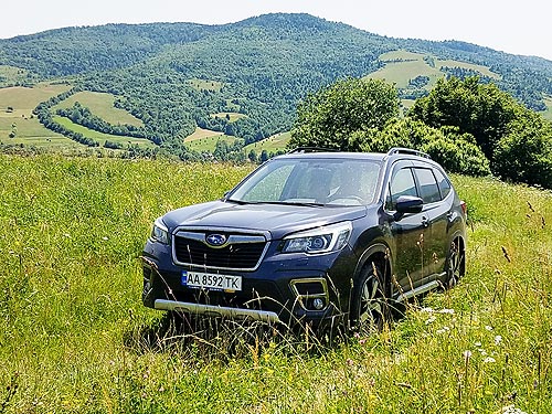 - Subaru Forester:       - Subaru